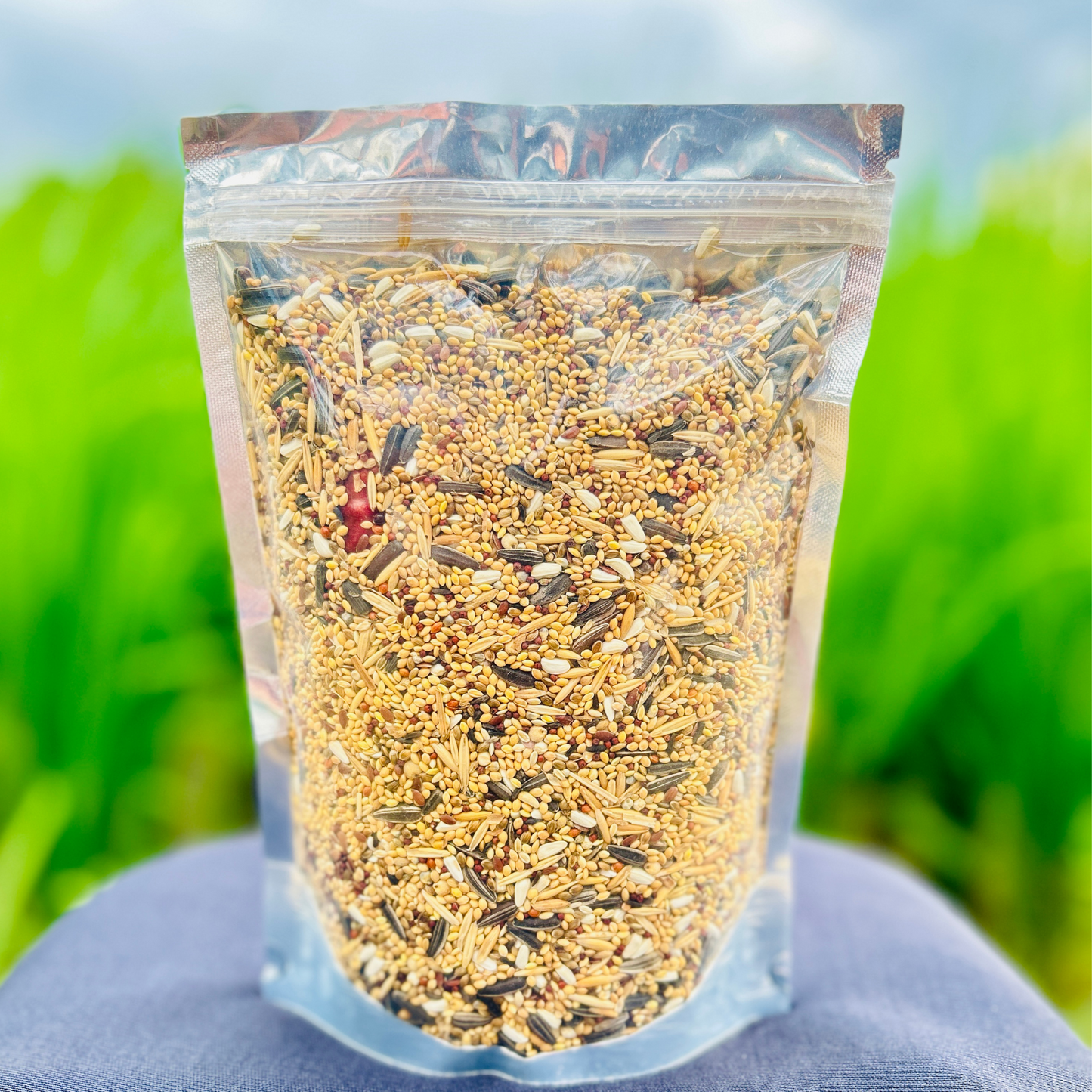 Volikart 10kg Lovebird, Cocktail & Small Conure Mix Seed – Millet, Canary, Sunflower, Flax & Buckwheat Bird Food