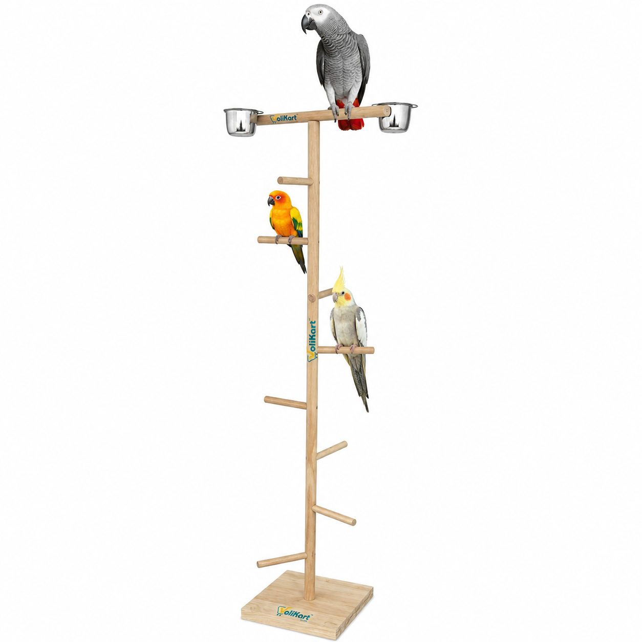 Volikart™ Natural Neem Wood Bird Stand Gym with 2 Stainless Steel Feeder Cups - Playground Perch for Parrots, Conures & Cockatiel