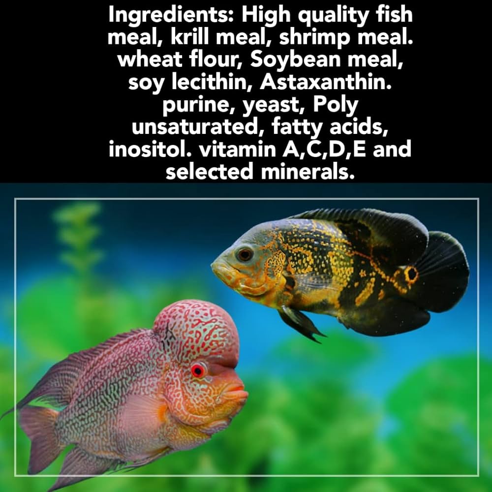 Star Farms True Color Oscar Fish Feed - 100gm | Easy to Digest, Promotes Rapid Growth & Enhances Natural Color | Omega-3 Rich Floating Pellets