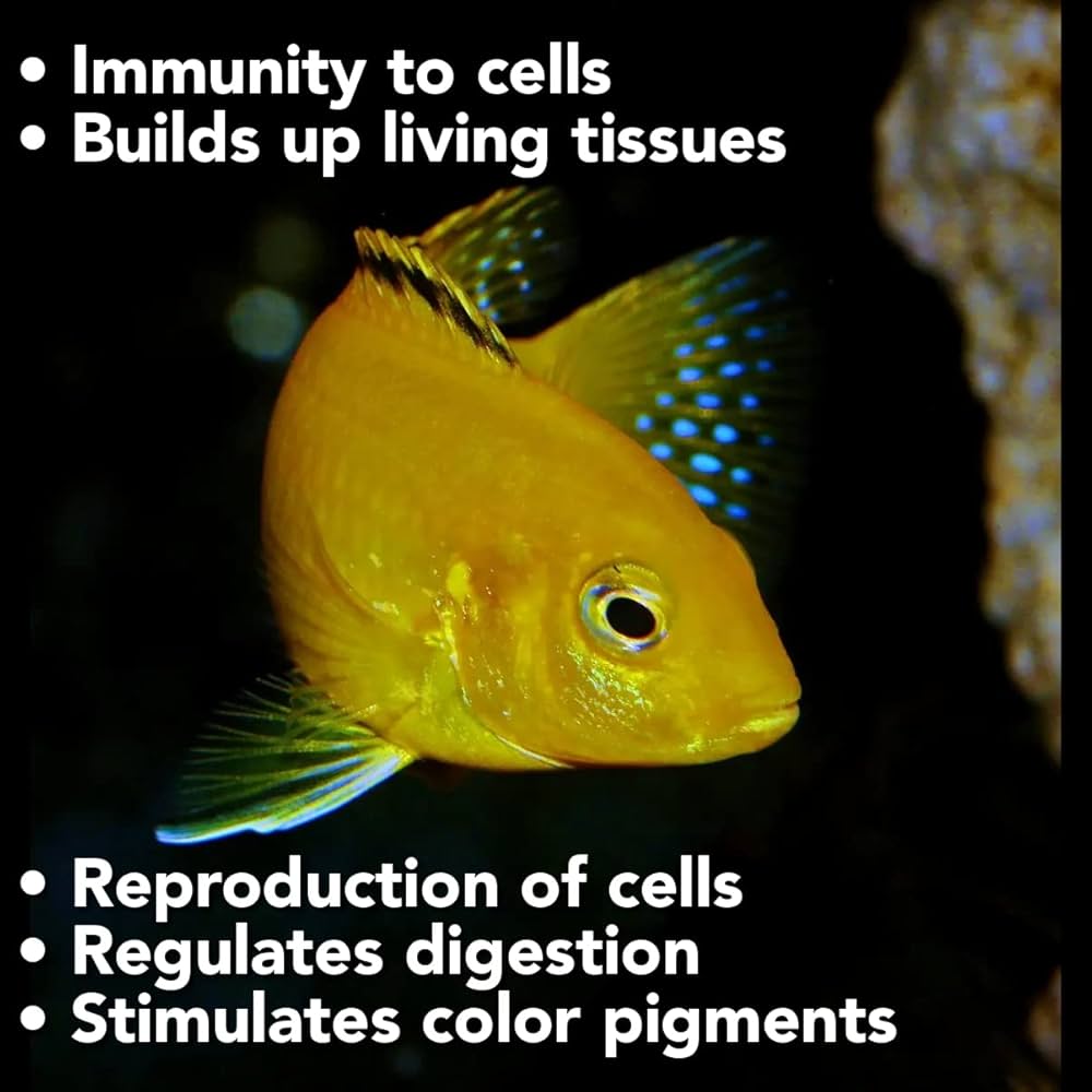 Star Farms True Color Cichlid Fish Feed - 100gm | Rapid Growth & Natural Color Enhancer | High-Quality Protein Formula