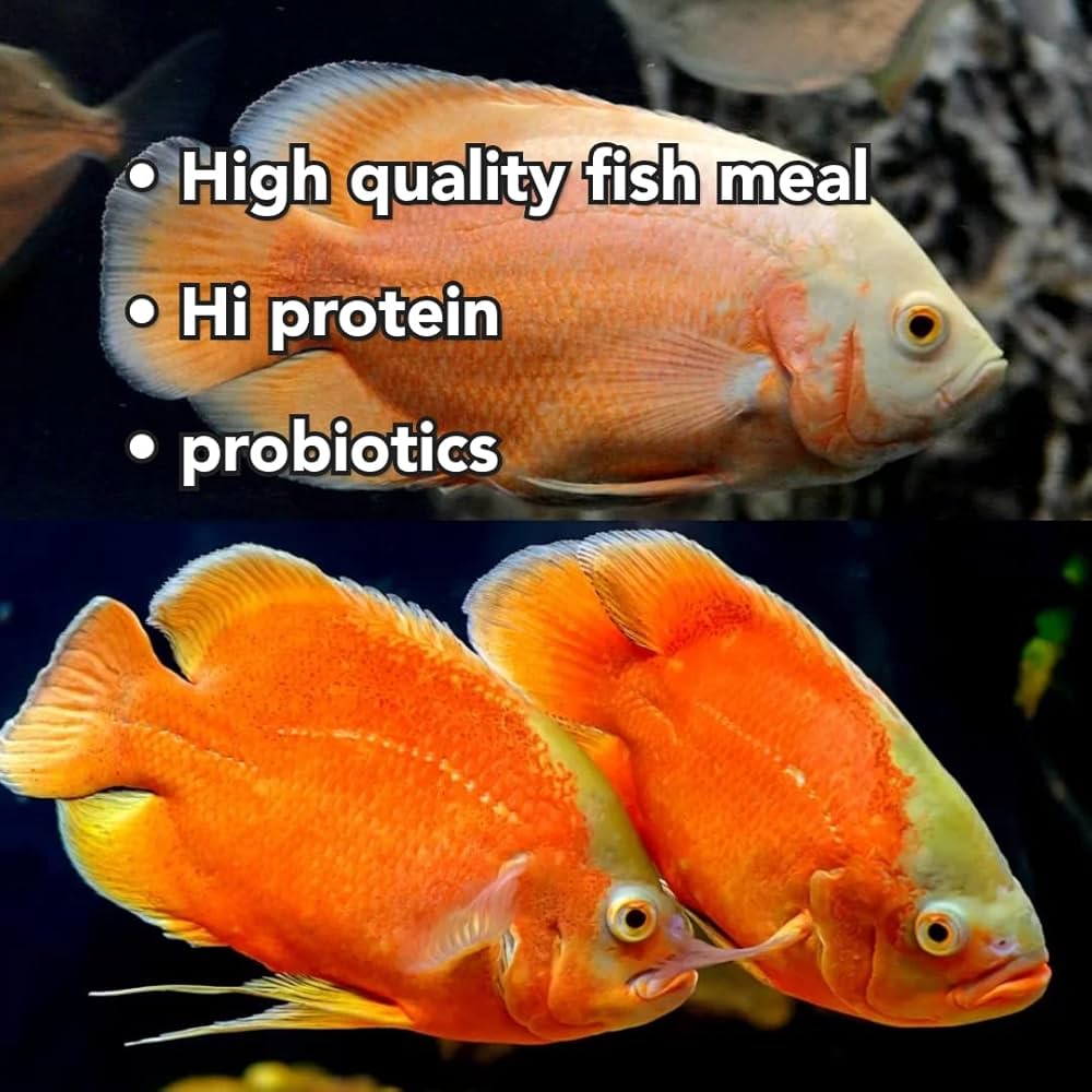 Star Farms True Color Oscar Fish Feed - 100gm | Easy to Digest, Promotes Rapid Growth & Enhances Natural Color | Omega-3 Rich Floating Pellets