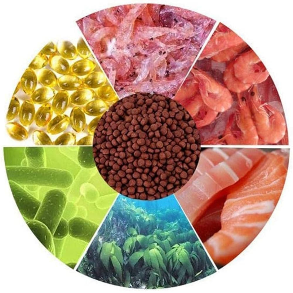 Star Farms Hi Color Fish Feed for All Tropical Fish – 100g | High Protein Formula for Bright Colors & Healthy Growth