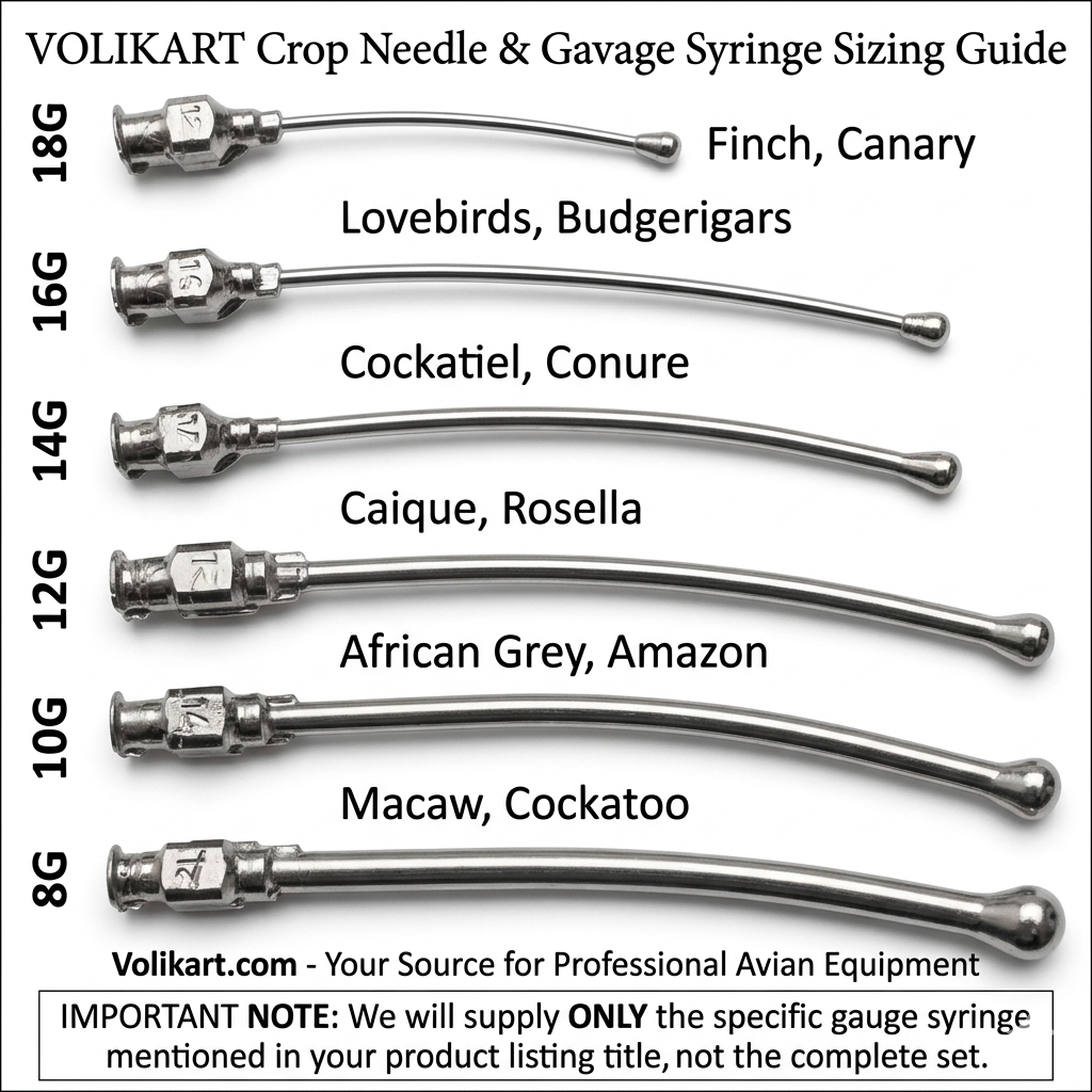 Volikart™ Hand Feeding Syringe for Birds 20ml with 16G Stainless Steel Crop Needle | Ideal for Lovebirds, Budgerigars & Small Birds