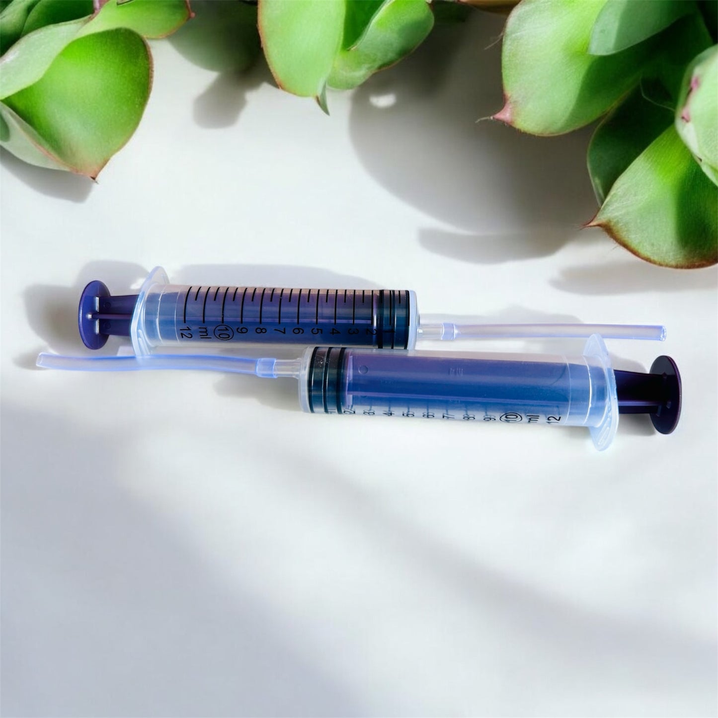 2 Pcs Bird Hand Feeding Syringe 10ml with Soft Rubber Tube | Reusable Feeder for Baby Birds, Parrots, Cockatiels, Budgies