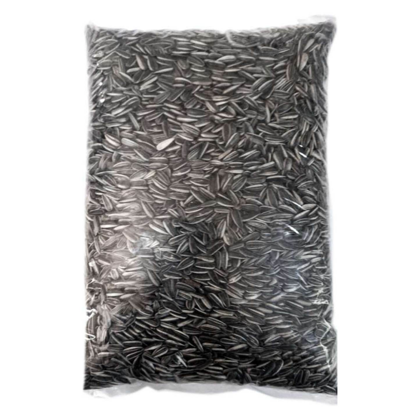 Premium Small Sunflower Seeds – 500gm | Nutritious Bird Food for Lovebirds, Cockatiels, Conures & Parrots | High-Energy Diet