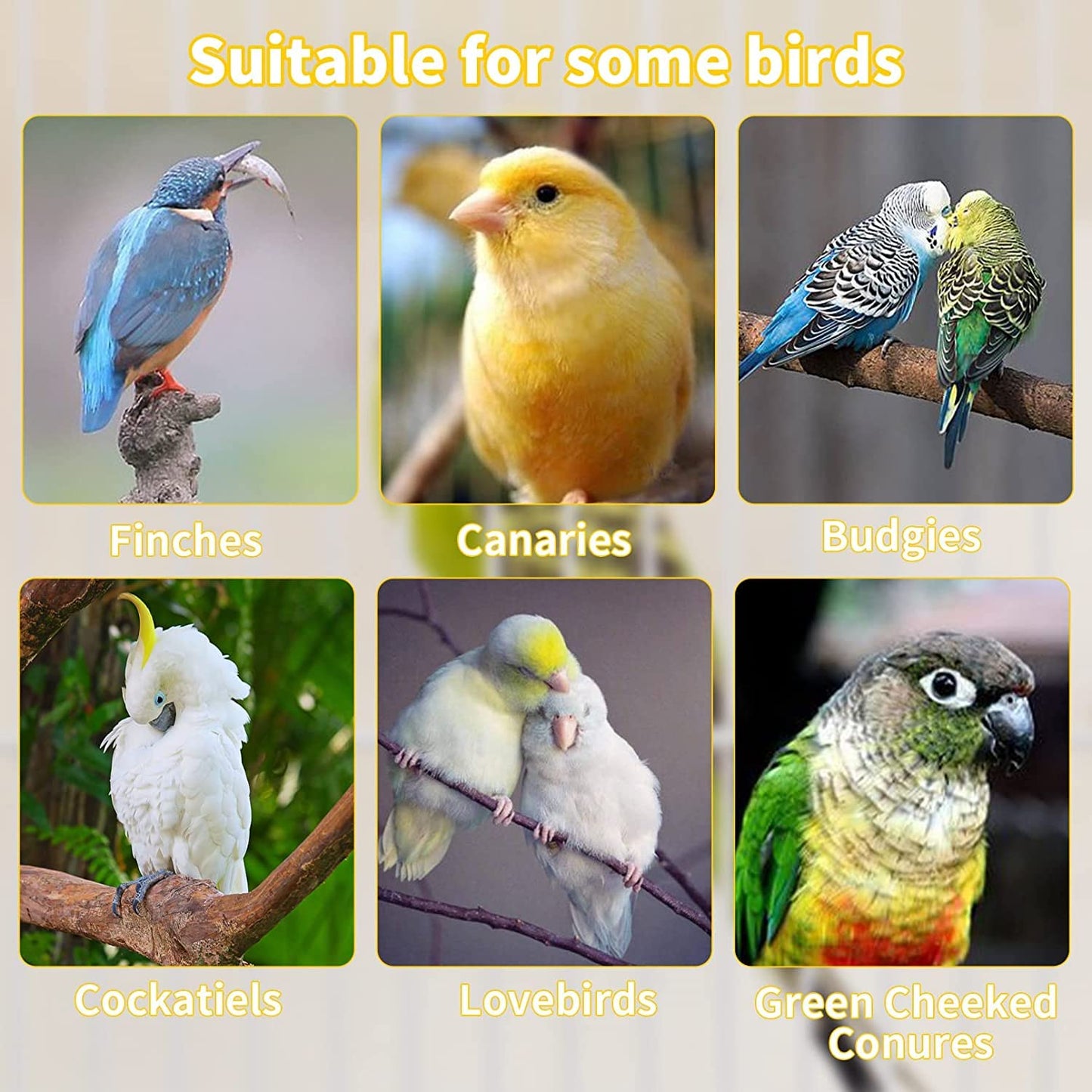 10 Inch Pure Neem Wood 5 Pieces Natural Perch Stand for All Birds. Neem Stick