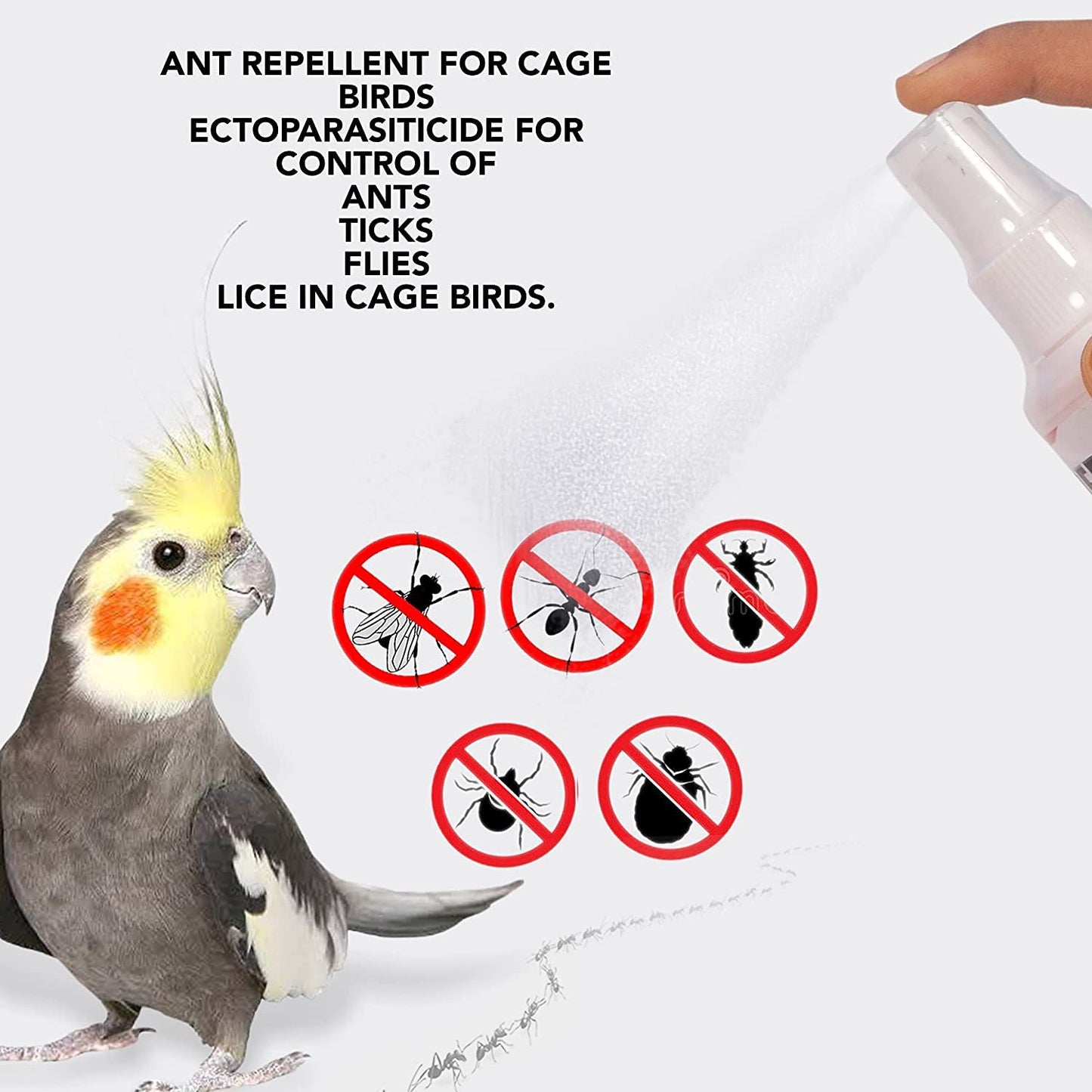 Pack of 2 STAR FARMS Border Spray - 200ml Anti-Lice, Flea & Tick Repellent Spray for Cage Birds | Safe for Parrots, Budgies, Cockatiels & Lovebirds