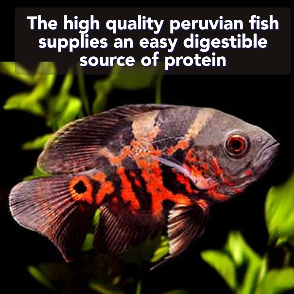 Star Farms True Color Oscar Fish Feed - 100gm | Easy to Digest, Promotes Rapid Growth & Enhances Natural Color | Omega-3 Rich Floating Pellets