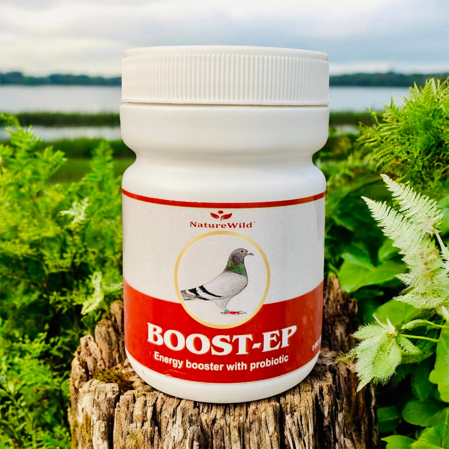 NatureWild Boost-EP Pigeon Supplement – 100gm | Energy Booster with Probiotics | Immunity & Performance Enhancer