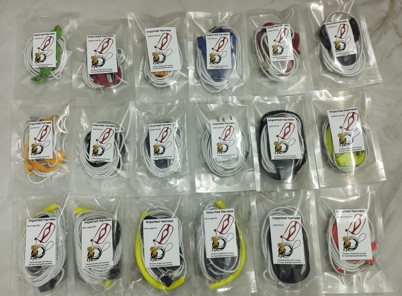 Adjustable Gray Parrot Body Harness – Durable & Safe for Training, Exercise & Play – Fits Large Gray Parrot Macaws, Triton, Small Moluccan Parrots (Random Color, Large)