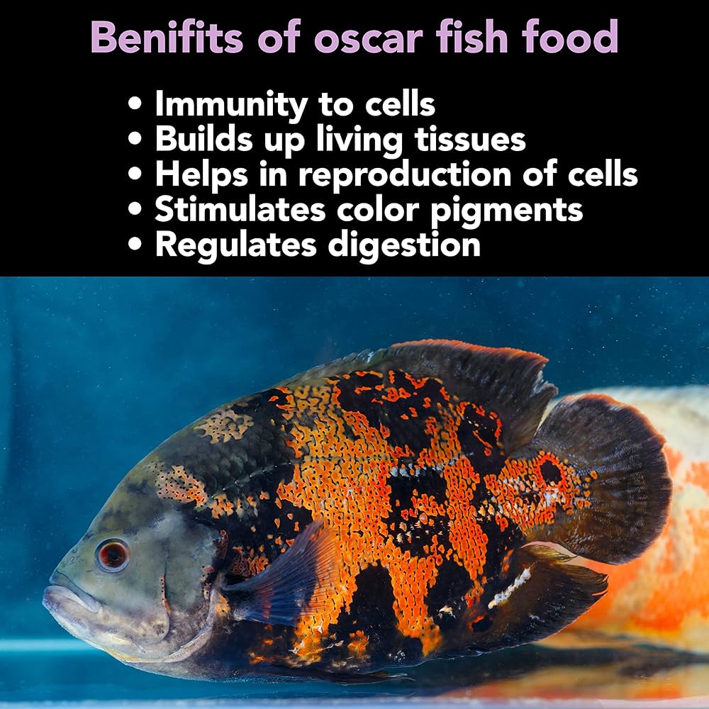 Star Farms True Color Oscar Fish Feed - 100gm | Easy to Digest, Promotes Rapid Growth & Enhances Natural Color | Omega-3 Rich Floating Pellets