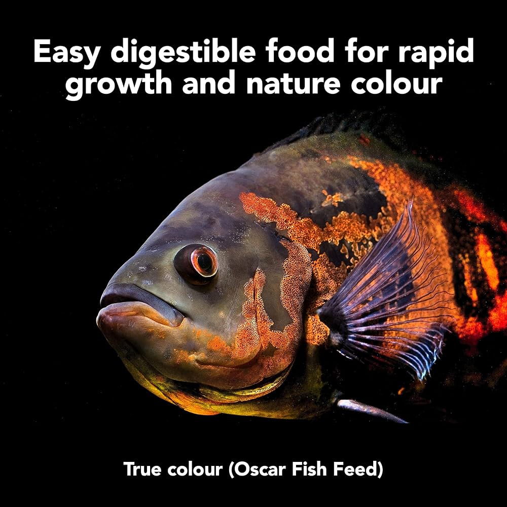 Star Farms True Color Oscar Fish Feed - 100gm | Easy to Digest, Promotes Rapid Growth & Enhances Natural Color | Omega-3 Rich Floating Pellets