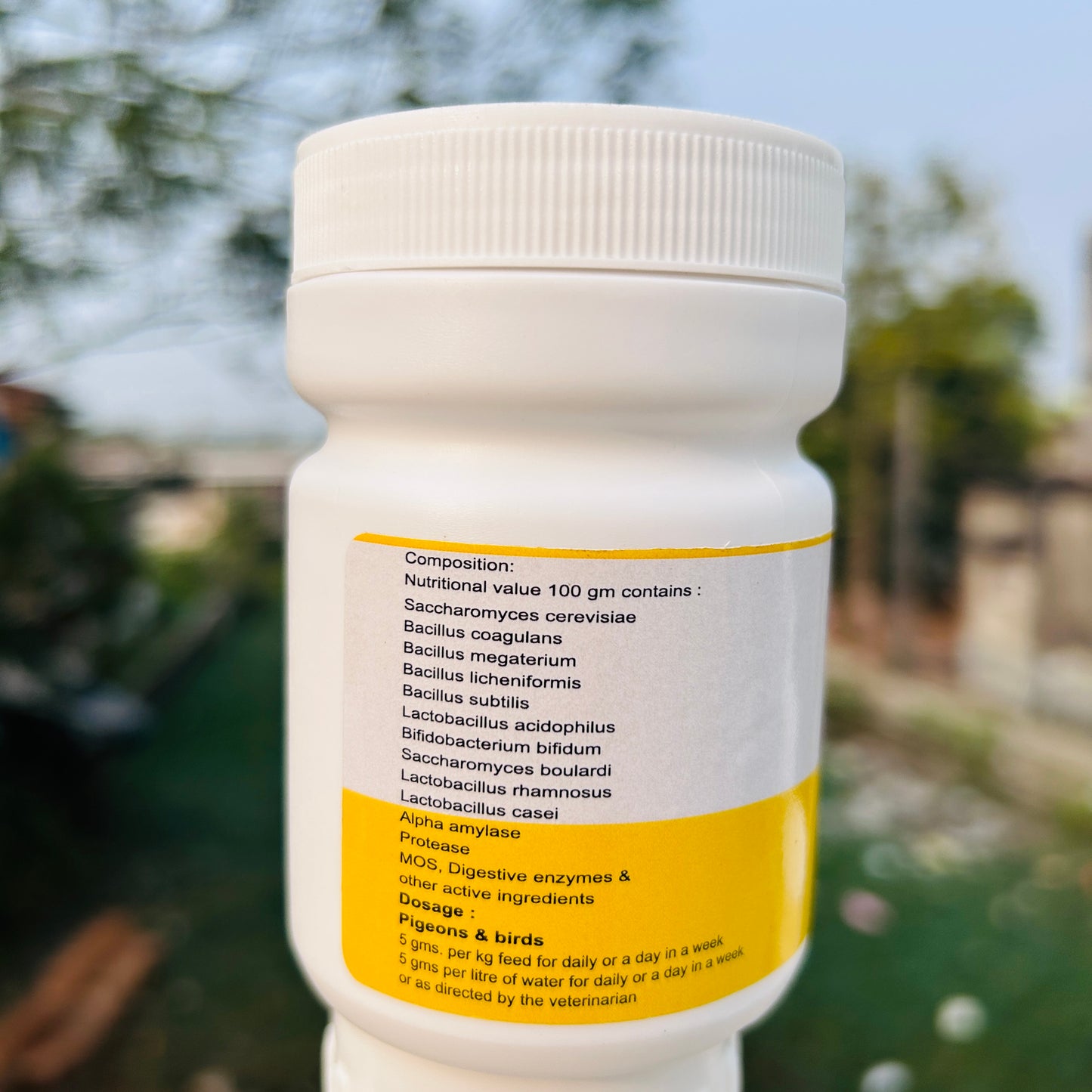 Nature Wild Biotic Pre & Probiotics for Pigeons & Birds – Gut Health & Digestive Support Supplement 100gm