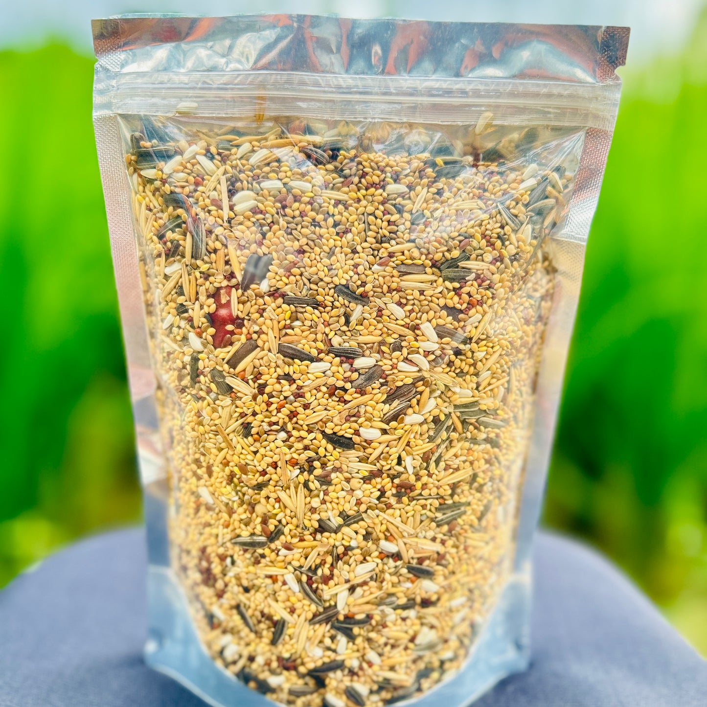 Premium Quality Small Conure & Cocktail Bird Seed Cocktails Mix Seed 400gm