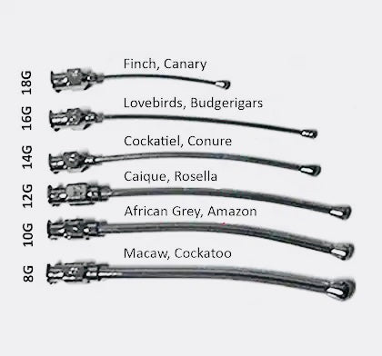 20ml Hand Feeding Syringe with 6 Needle