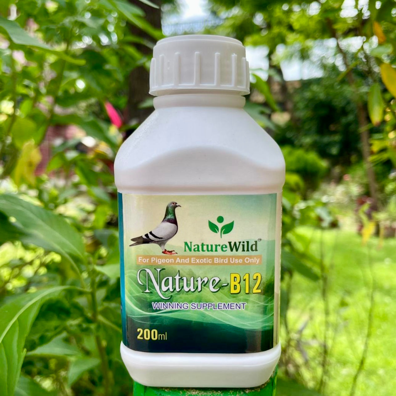 Nature Wild Nature-B12 Winning Supplement 200ml