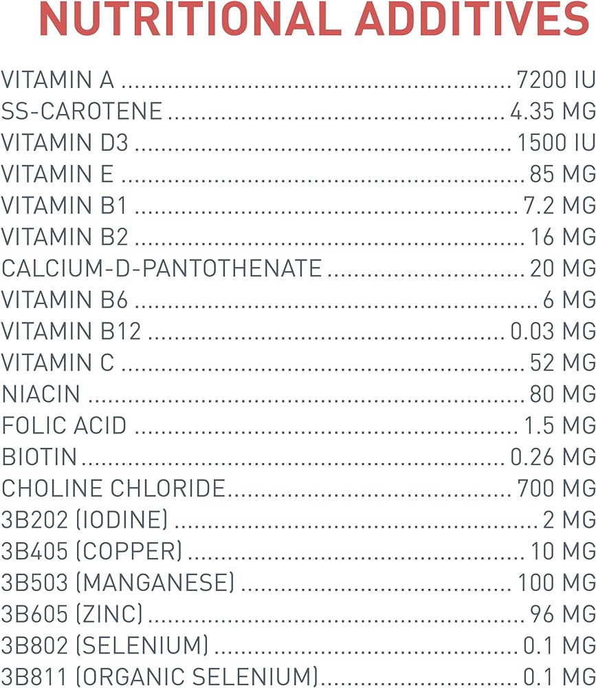 Versele-Laga A19 Nutribird Hand Feeding Food | 3 kg | For Baby Birds and Parrots A 19