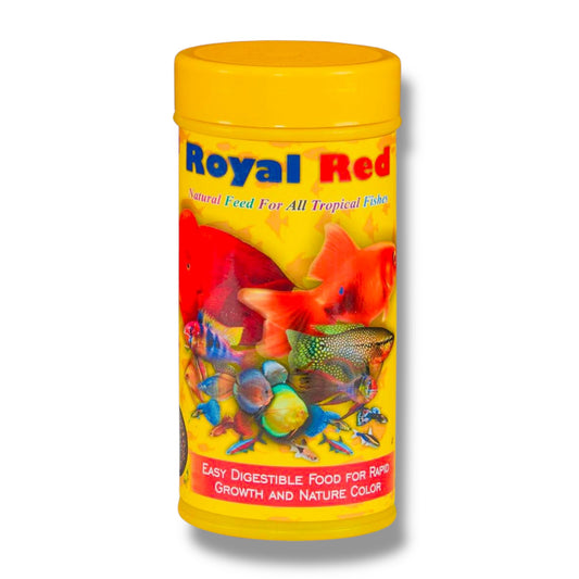Royal Red Natural Fish Food – 100gm | Complete Nutrition for All Tropical Aquarium Fish | Enhances Color & Immunity