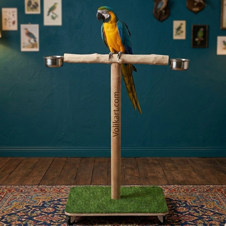 Volikart™ Premium 2.5ft Wooden Bird T-Stand for Parrots | Natural Heavy-Duty Perch with Dual Steel Bowls
