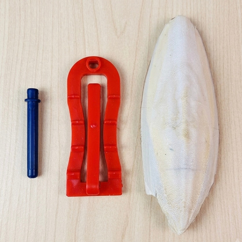Volikart™ Natural Cuttlefish Bone with Holder (7–10 Inch) | Bird Calcium Supplement