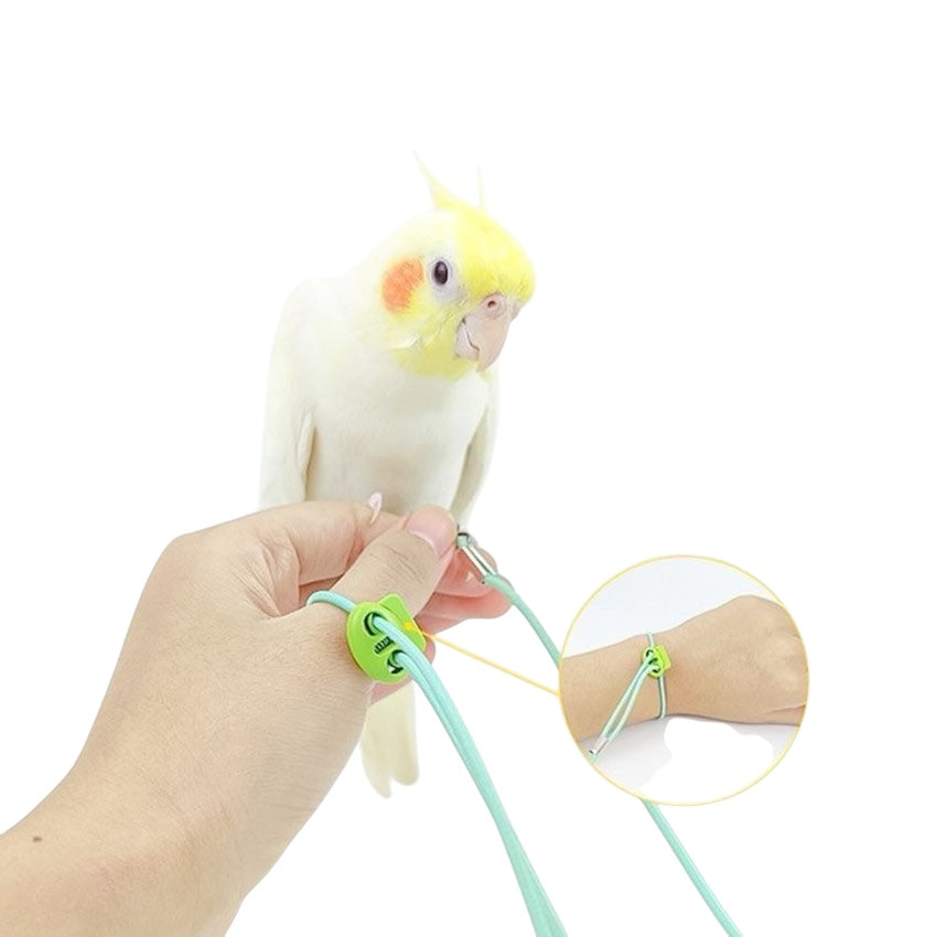 Bird Harness with 6mm Leg Ring & Elastic Leash – Ideal for Cockatiels, Small Conures & Similar-Sized Birds | Available on Volikart