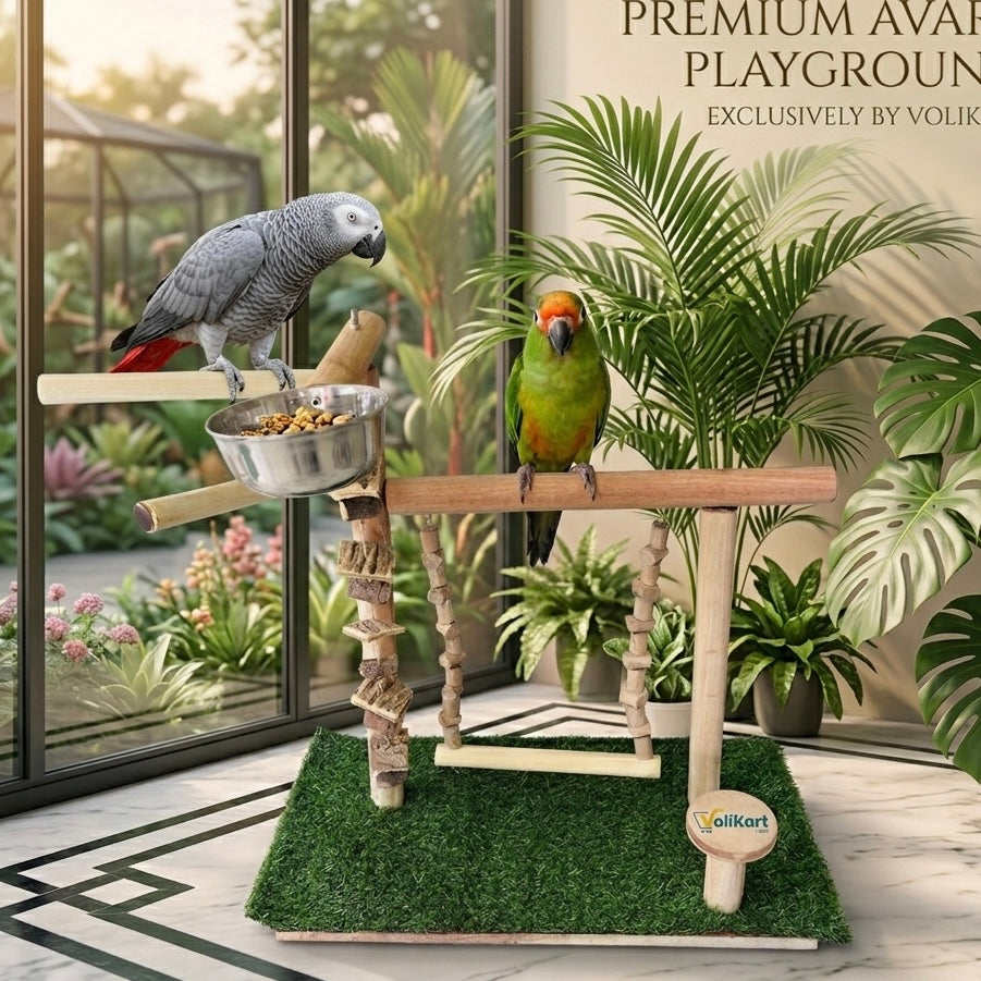 Tame Bird Stand Playing Toy - 80% Neem Wood | Wooden Toys for Conure, African Grey, Macaw, Amazon & Other Birds