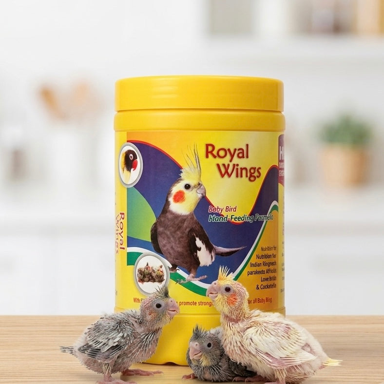 Star Farms Royal Wings Baby Bird Hand Feeding Formula with DHA Omega-3 – 250g | Complete Nutrition for Parrots, Conures & Macaws