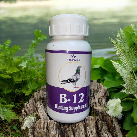 500ml B-12 Winning Supplement for Racing Pigeons – Boost Flying Performance & Stamina Nature Wild