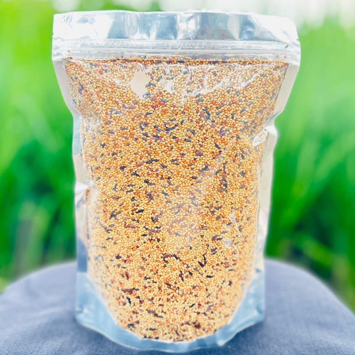 Java Bird Seed Premium Quality Mix Seed For Finch & Java Bird 400gm – VoliKart