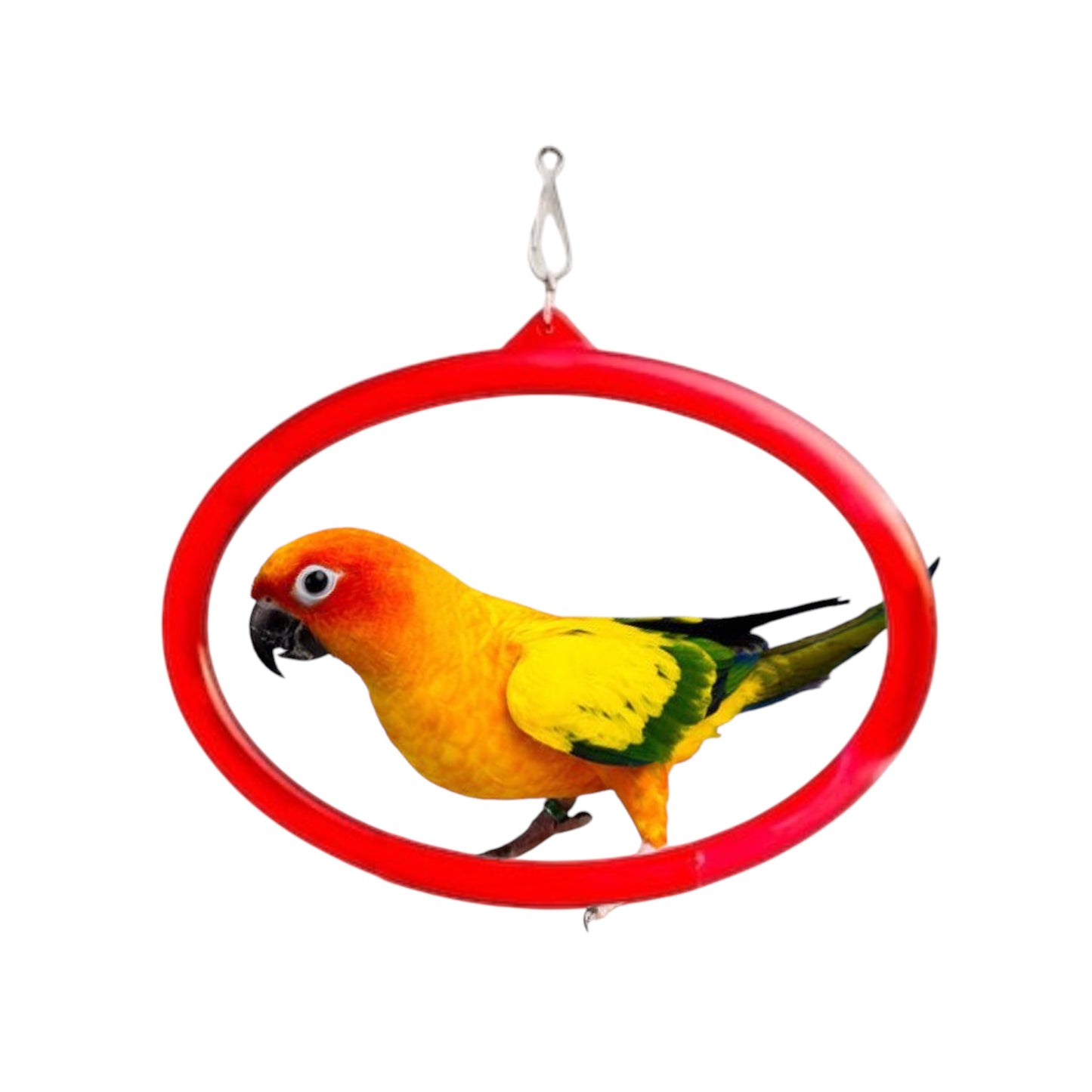 7-Inch Oval Ring Bird Swing Toys - Avian Entertainment and Exercise Accessories