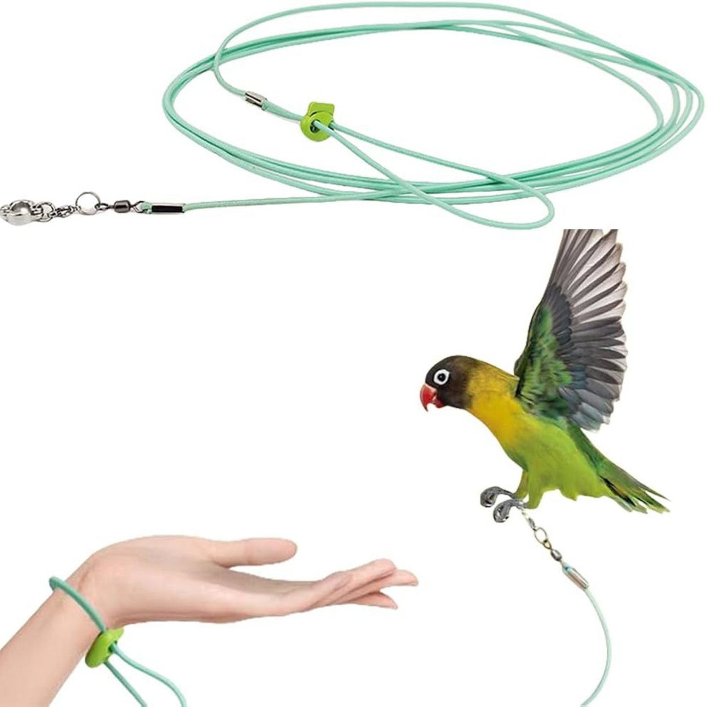 Bird Harness with Leg Ring & 5ft Elastic Leash – Ideal for Lovebirds, Budgerigars & Small Birds | Available on Volikart
