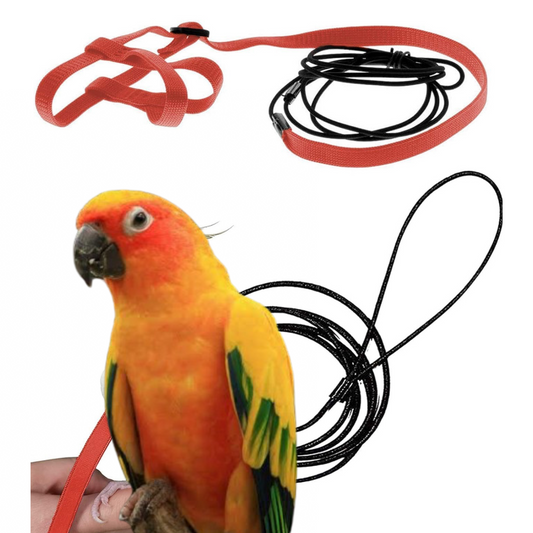 Sun Conure Bird Body Harness Adjustable Durable Reusable Safe Great for Training, Exercise & Playing
