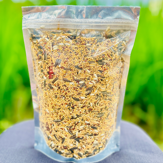 Premium Quality Small Conure & Cocktail Bird Seed Cocktails Mix Seed 400gm