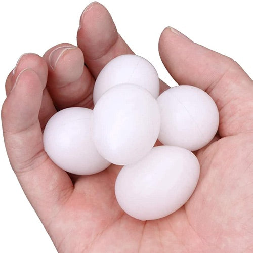 Fake Pigeon Eggs for Breeding & Incubation – Realistic Dummy Eggs (Pack of 5) | Volikart