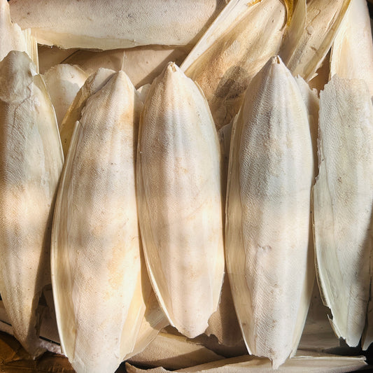 Natural Cuttlebone 150g for Pet Birds – Pure Calcium for Beak Care & Egg Strength | Volikart