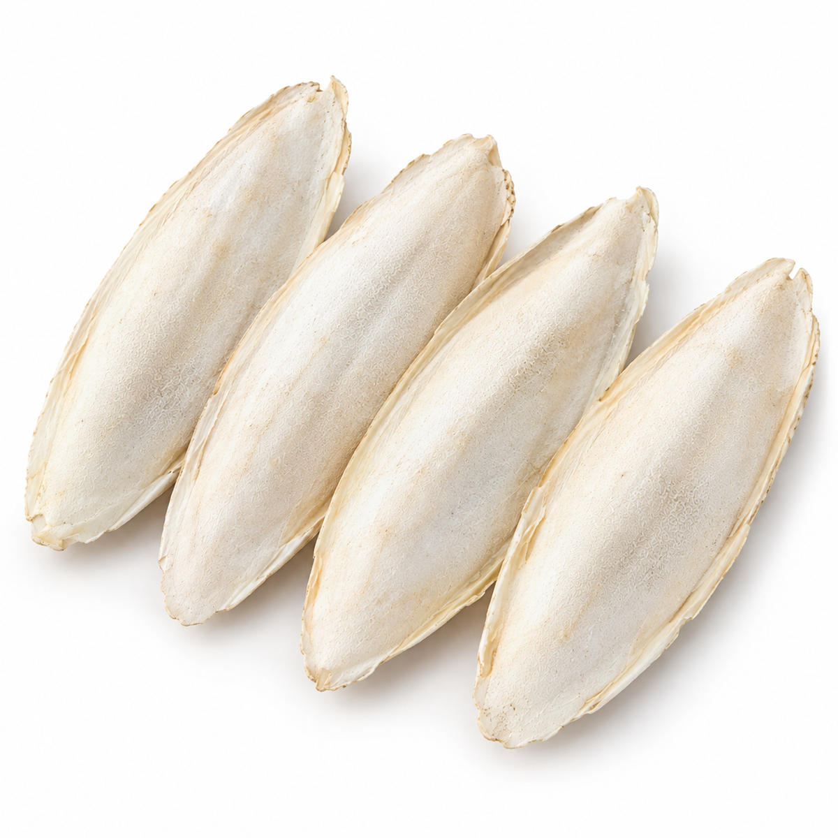 Volikart 100g Cuttlefish Bone for Birds | Natural Cuttle Bone