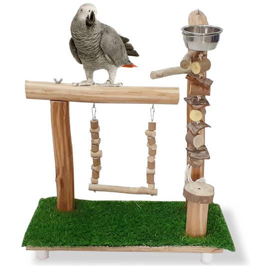 Tame Bird Stand Playing Toy - 100% Neem Wood | Wooden Toys for Conure, African Grey, Macaw, Amazon & Other Birds