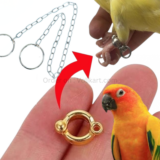 Bird Harness with 6.5mm Leg Ring & Metal Chain – Perfect for Sun Conures & Similar-Sized Birds | Secure & Comfortable Leg Ring with Chain