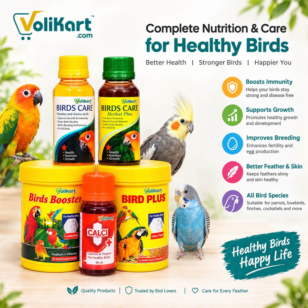 Star Farms Full Pack Bird Supplements – Breed Plus, Bird Booster, Harbal Plus, Birds Care & Calci Plus