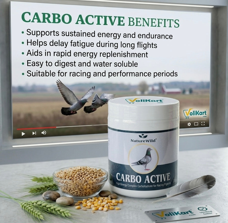 Volikart™ Nature Wild CARBO Active for Racing Pigeons | High Energy Maltodextrin Supplement 250g