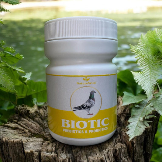 Nature Wild Biotic Pre & Probiotics for Pigeons & Birds – Gut Health & Digestive Support Supplement 100gm