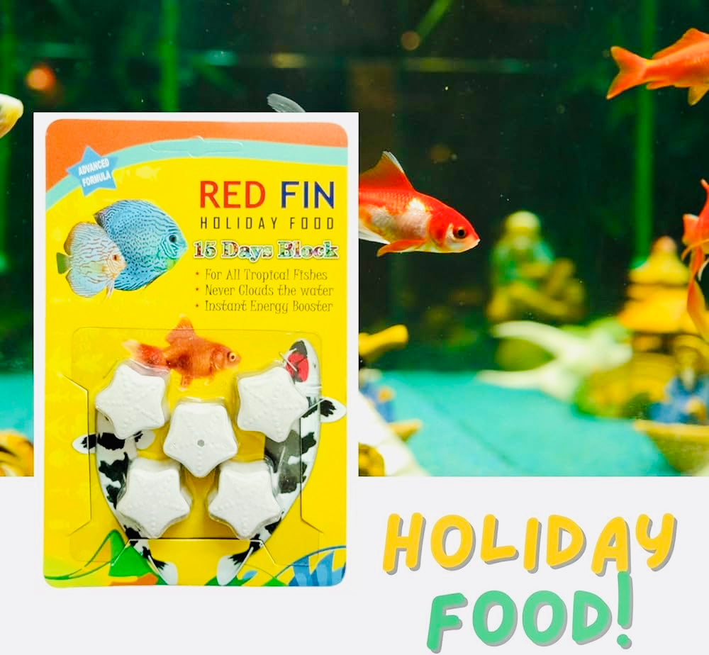 Red Fin Holiday Fish Food Blocks (Set of 2) – 15 Days Slow Release Fish Food for All Tropical Aquarium Fish