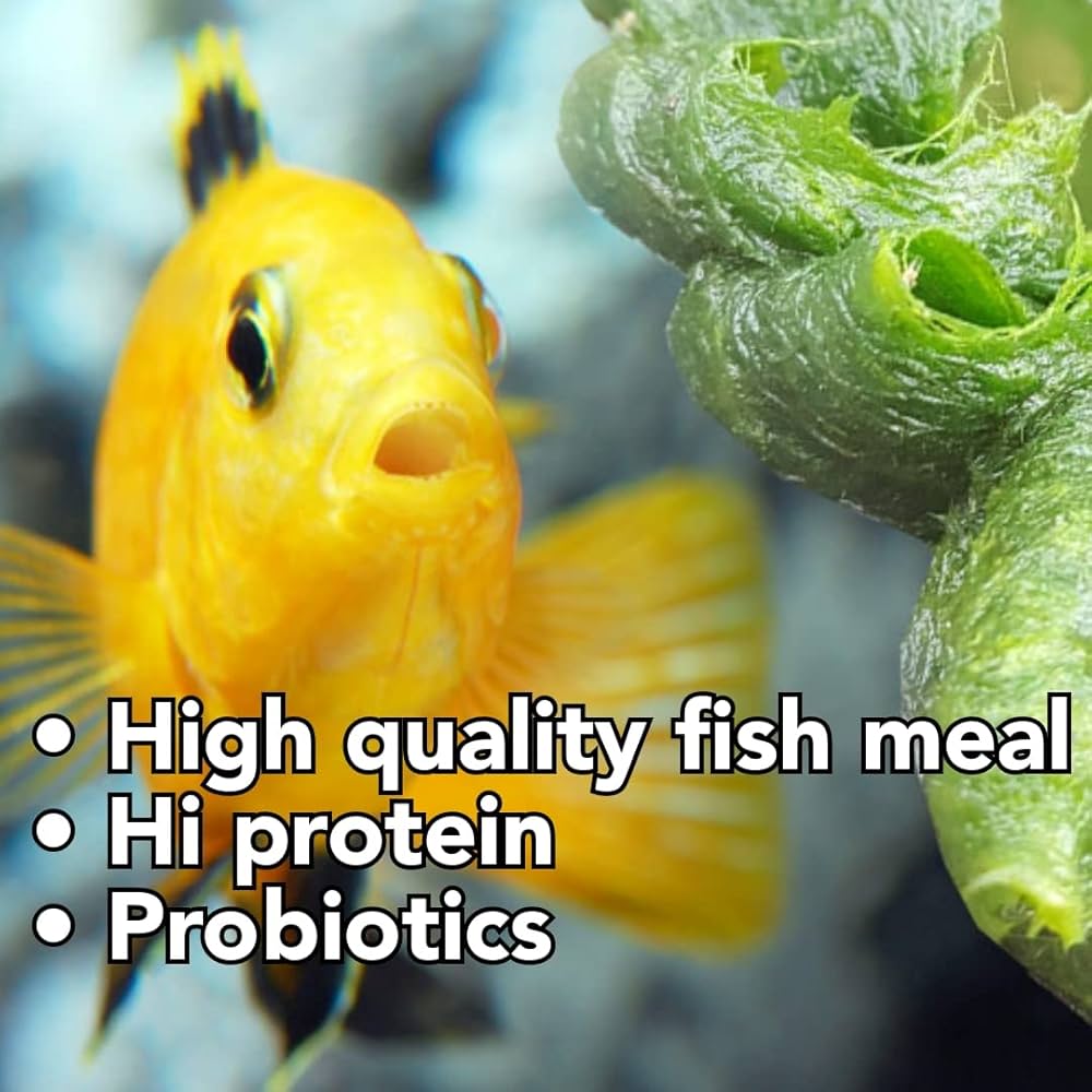 Star Farms True Color Cichlid Fish Feed - 100gm | Rapid Growth & Natural Color Enhancer | High-Quality Protein Formula