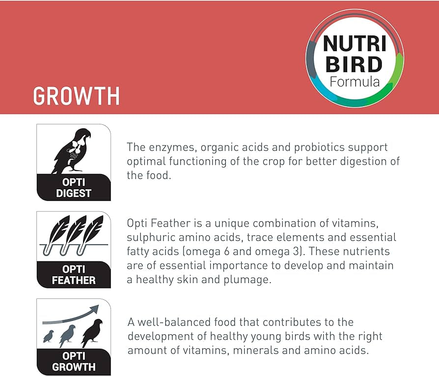 Versele-Laga A19 Nutribird Hand Feeding Food | 3 kg | For Baby Birds and Parrots A 19