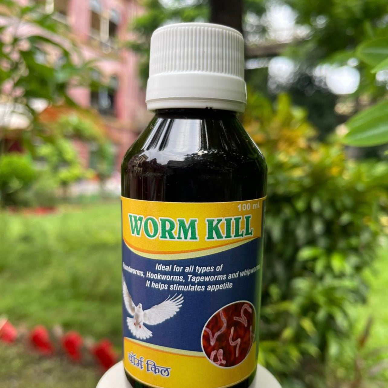 Nature Wild Worm Kill Dewormer for Birds & Pigeons - Effective Against Roundworms, Hookworms & Tapeworms - Appetite Booster (100ml)