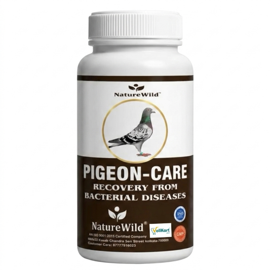 Volikart™ NatureWild Pigeon Care Recovery Supplement for Bacterial Diseases with Probiotics & Vitamins