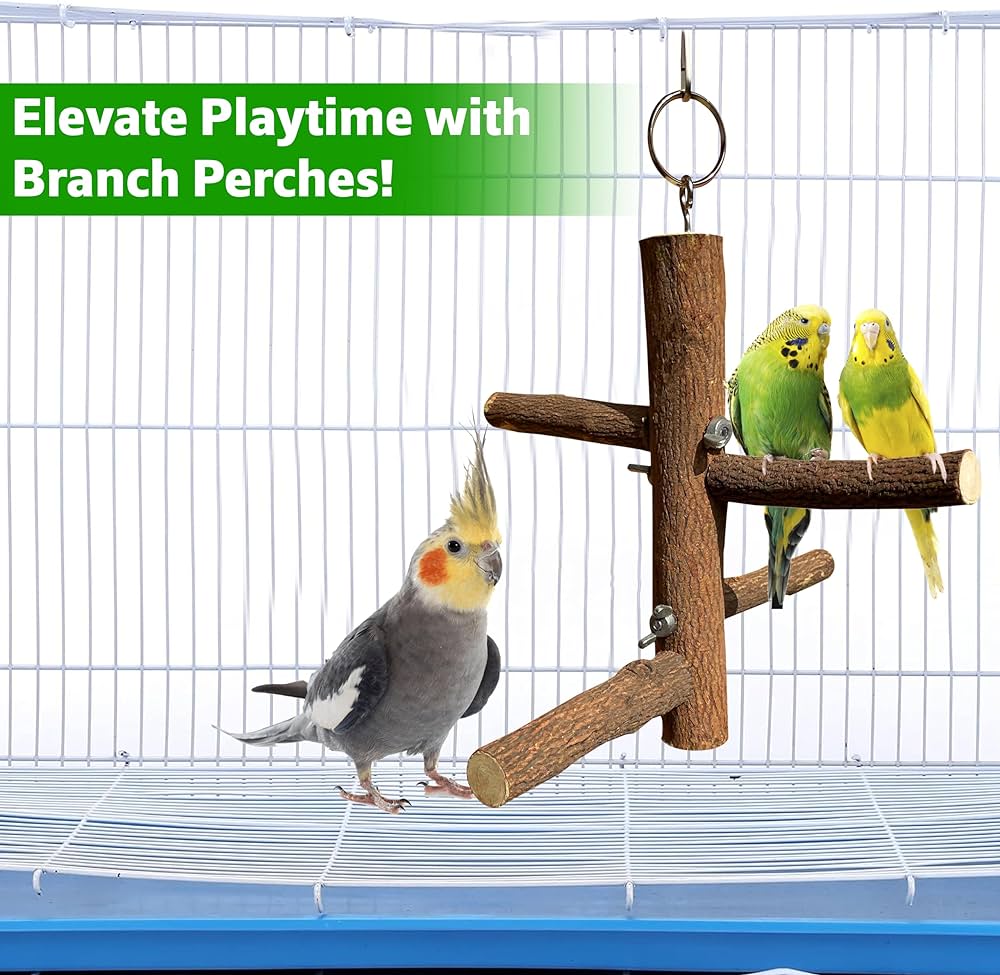 4-Perch Hanging Toy Stand for Parakeets, Budgies, Lovebirds