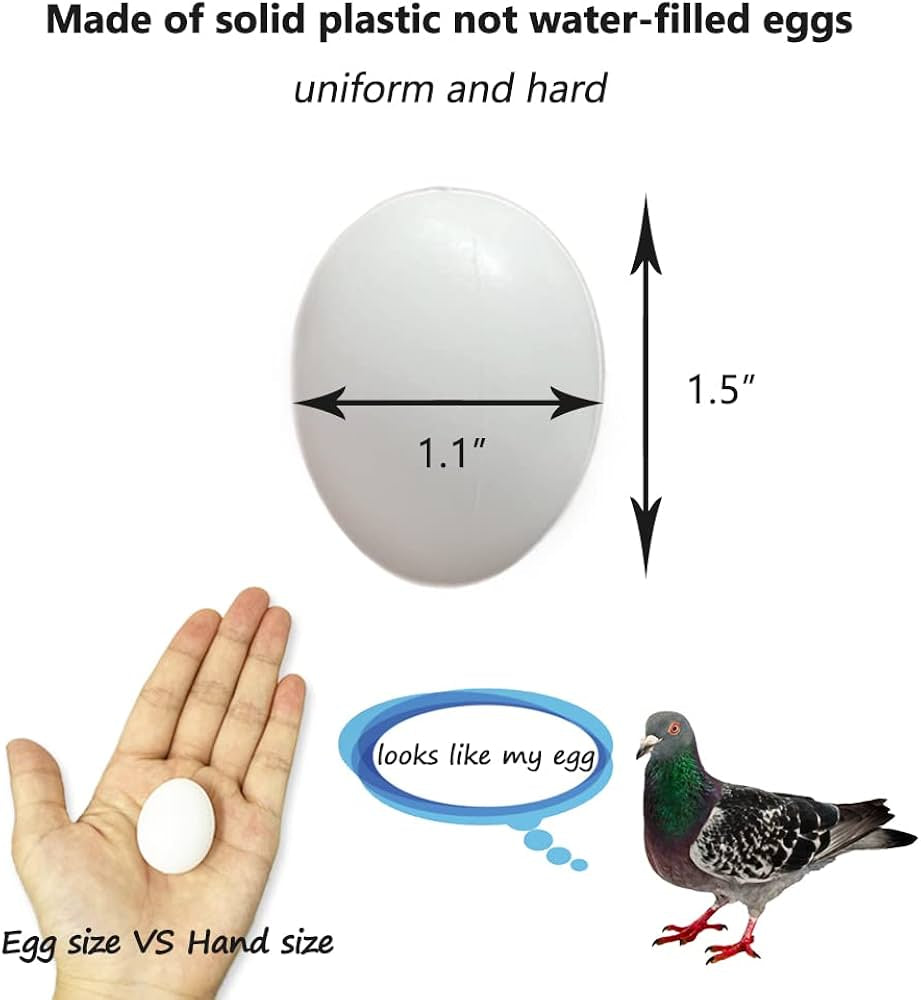 Fake Pigeon Eggs for Breeding & Incubation – Realistic Dummy Eggs (Pack of 5) | Volikart