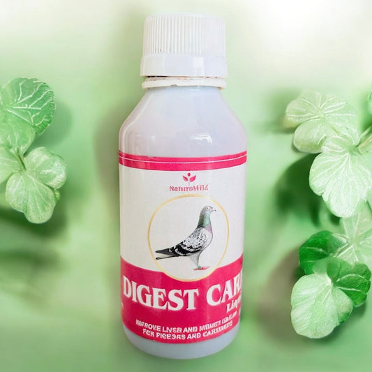 NatureWild Digest Care Liquid 100ml – Liver & Gut Health Tonic for Pigeons | Improves Digestion & Reduces Bloating