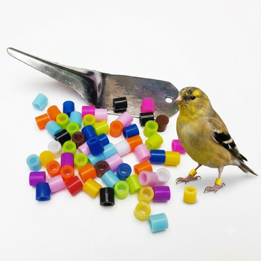 Volikart Finch Bird Leg Rings 2.7mm | 100 Pcs Plastic Close Rings with Applicator